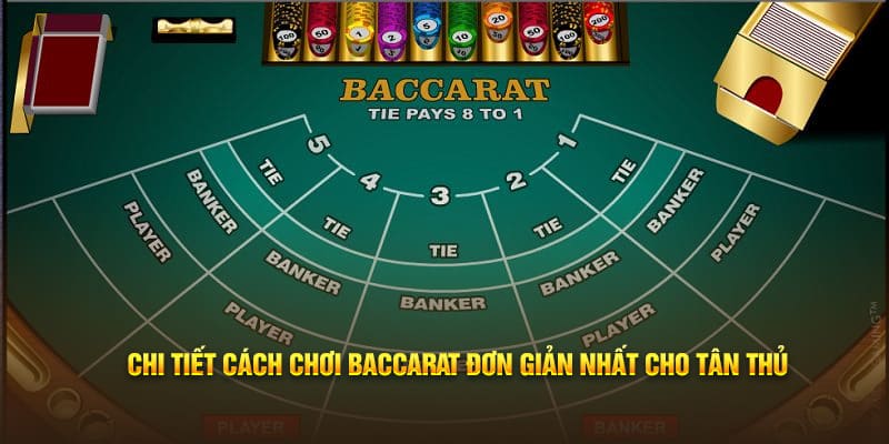 Chi tiết cách chơi baccarat đơn giản nhất cho tân thủ